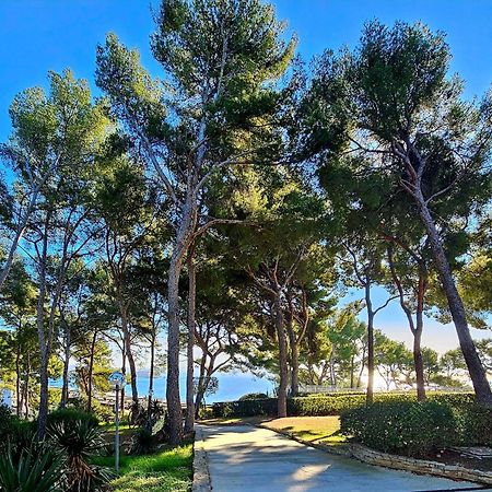 Superbe Appartement Dans Cadre D'Exception - Piscine, Plage Et Tennis Prive Bandol Eksteriør billede