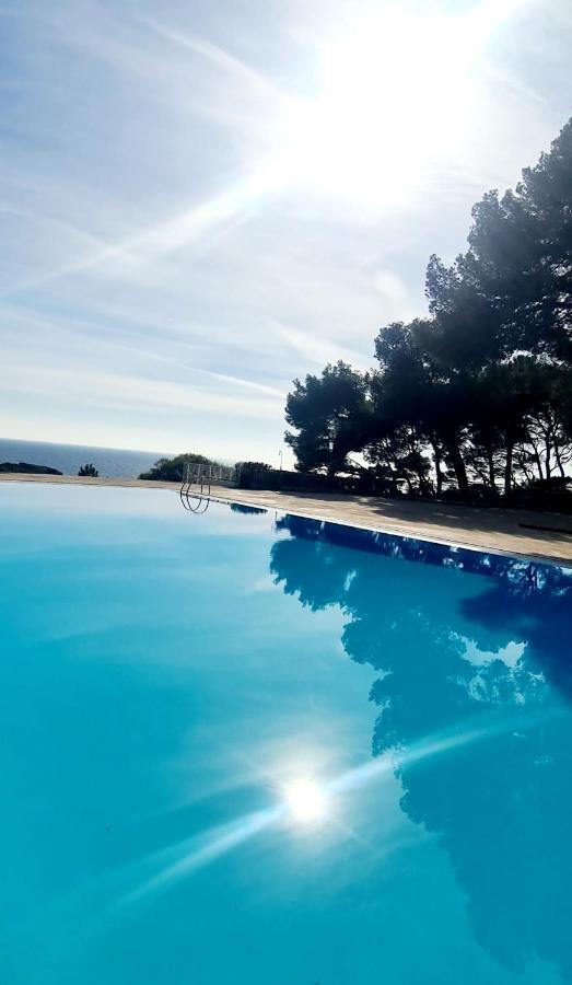 Superbe Appartement Dans Cadre D'Exception - Piscine, Plage Et Tennis Prive Bandol Eksteriør billede