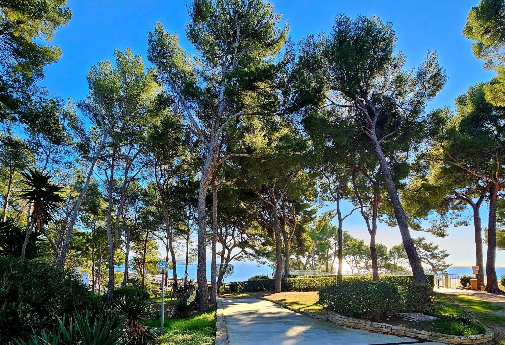 Superbe Appartement Dans Cadre D'Exception - Piscine, Plage Et Tennis Prive Bandol Eksteriør billede